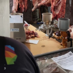 Córdoba: decomisan 700 kg de carne porcina por faenamiento ilegal