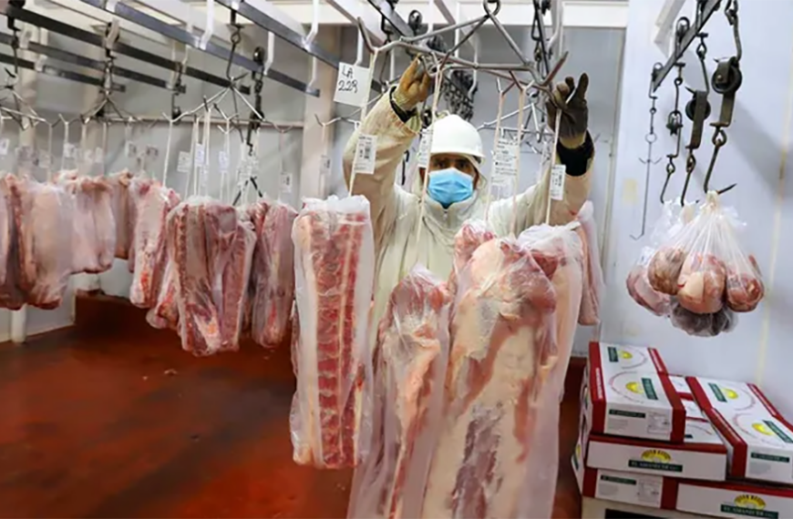 Cómo producir casi 3 millones de kilos de carne en pleno desierto de la Patagonia