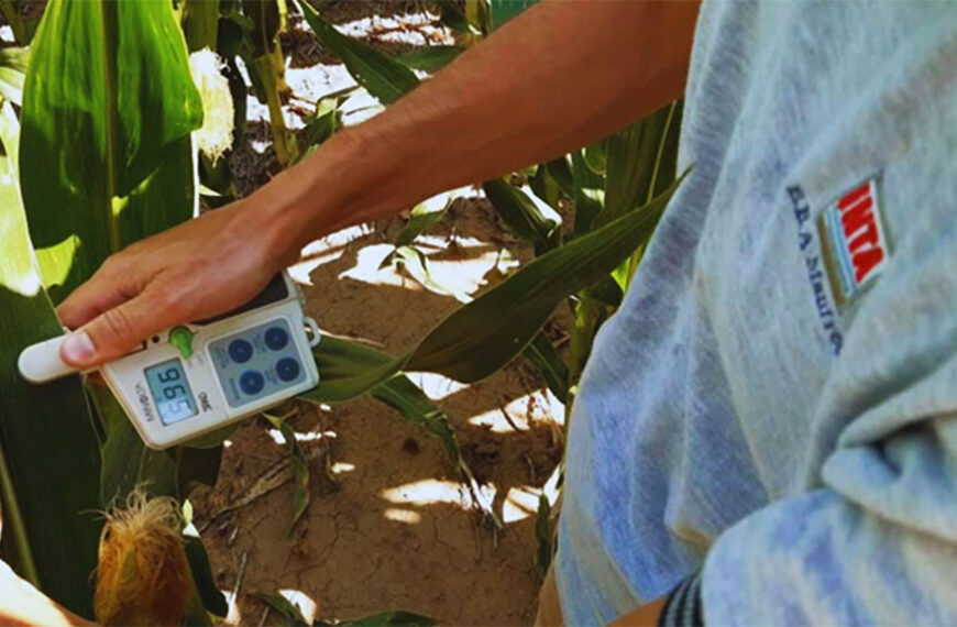 El uso de efluentes aumenta el rinde de soja