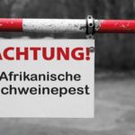 Detectan PPA en 16 países europeos en 2026