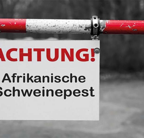 Detectan PPA en 16 países europeos en 2026