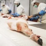 Por la peste porcina caen fuerte las exportaciones españolas