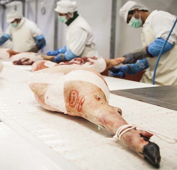 Por la peste porcina caen fuerte las exportaciones españolas