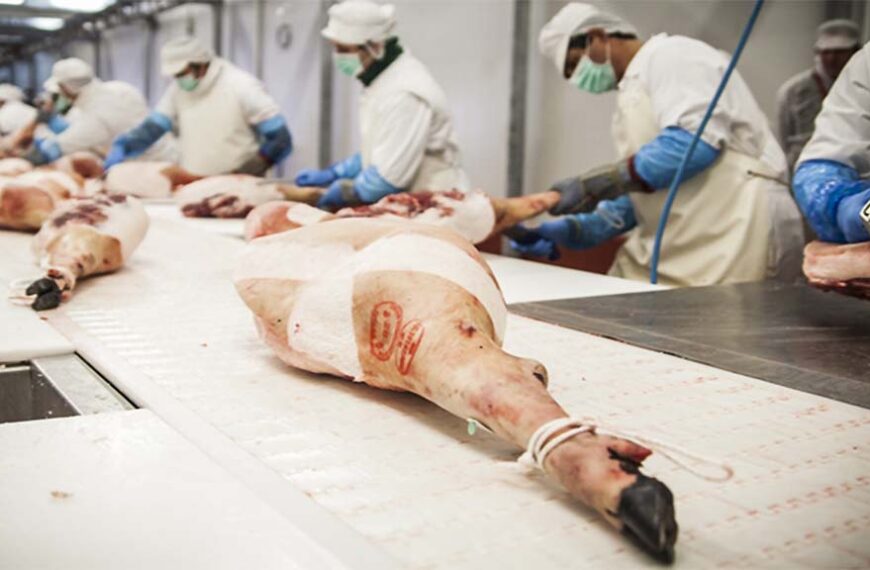 Por la peste porcina caen fuerte las exportaciones españolas