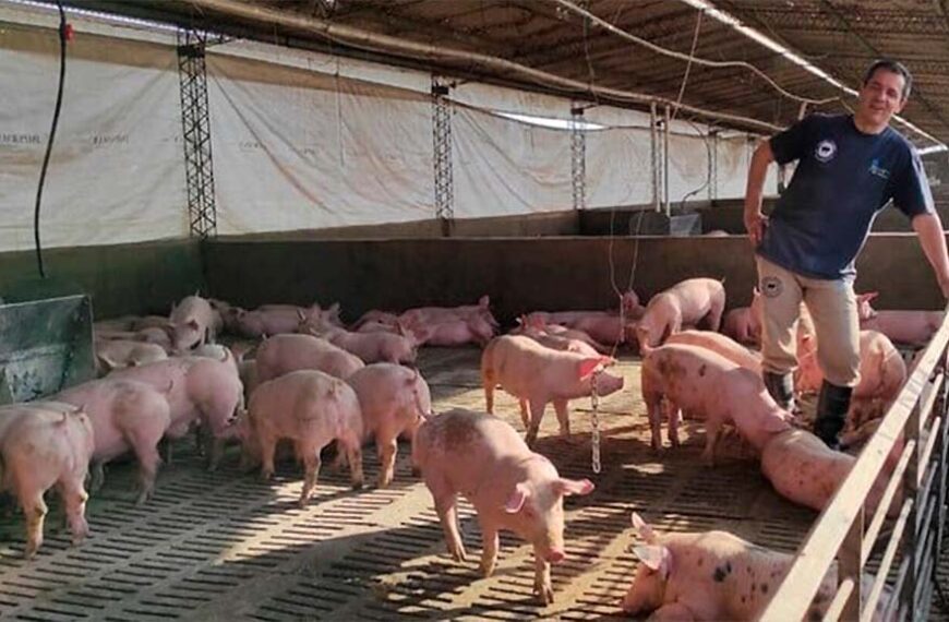 Otra vez el ajuste cae sobre el productor chico