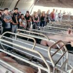 Lanzan la cuarta de la Diplomatura en Producción Porcina