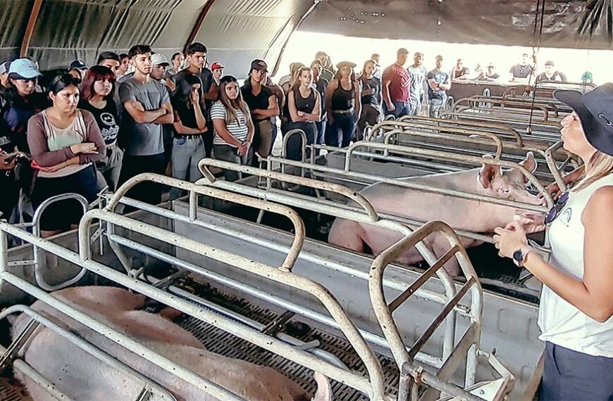 Lanzan la cuarta de la Diplomatura en Producción Porcina