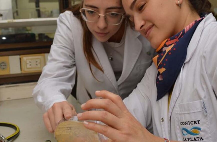 La ciencia argenta ayuda a ganar kilos