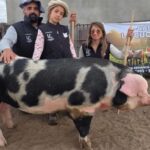 La Expo de Otoño en Río Cuarto cerró otra lograda edición