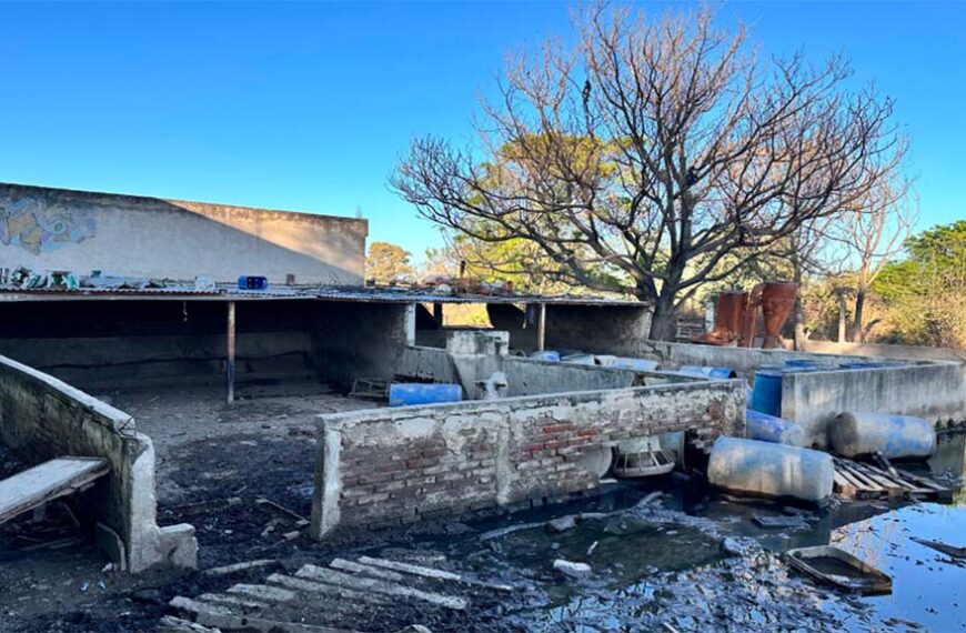 Detectan casos y hay control muy cerca de Córdoba