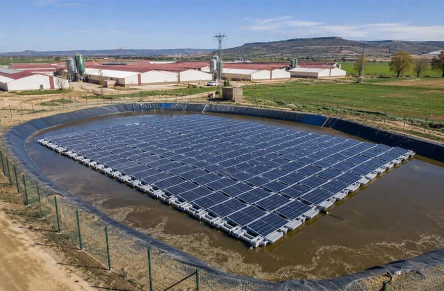 En España, una granja cubre los purines con paneles solares