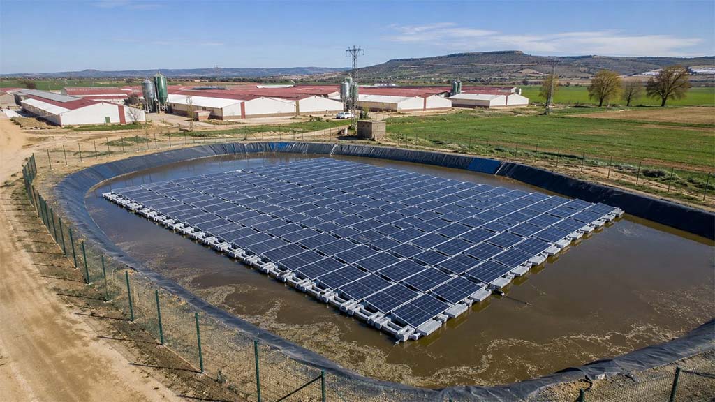 En España, una granja cubre los purines con paneles solares