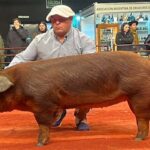 En Palermo se vio el interés por la mejora genética