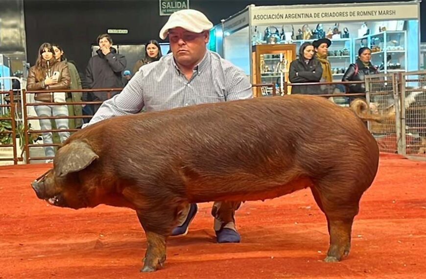 En Palermo se vio el interés por la mejora genética