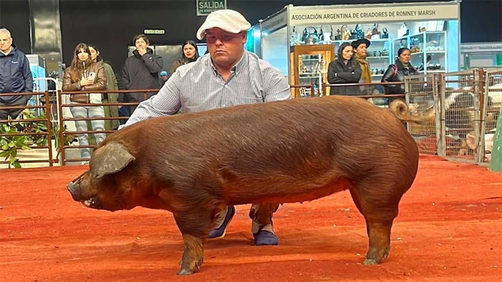 En Palermo se vio el interés por la mejora genética