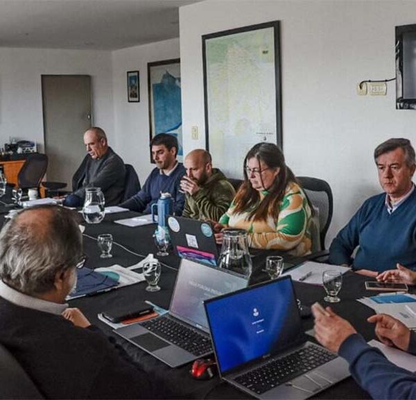 Avances en la reunión del Gobierno y Mesa Porcina bonaerense