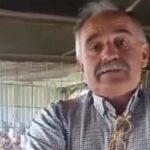 Es posible producir carne con eficiencia sin usar promotores