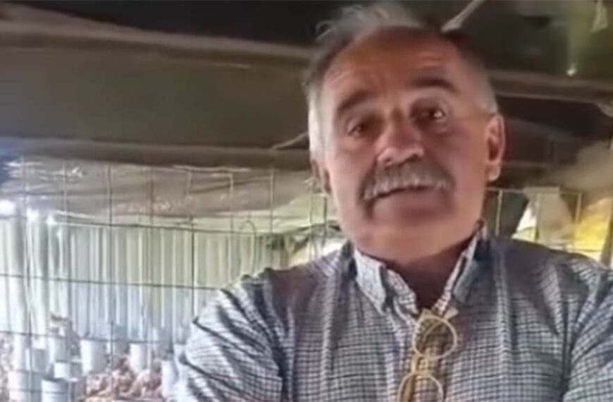 Es posible producir carne con eficiencia sin usar promotores