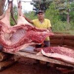 En Misiones faenaron un cerdo de… ¡320 kilos!