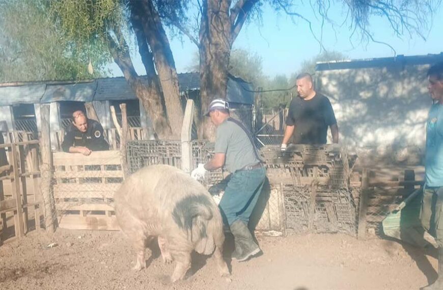 Trabajan en sanidad en pequeñas granjas de San Luis