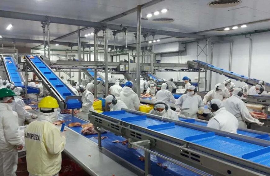 Tutto Porkys proyecta faenar 850 cerdos diarios